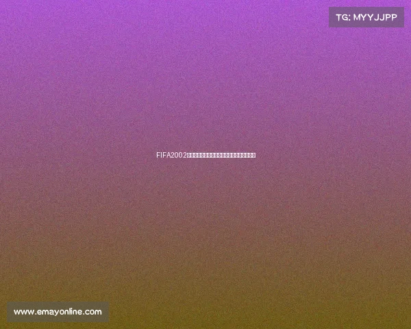 FIFA2002世界杯硬盘版经典回顾与珍藏安装体验全解析